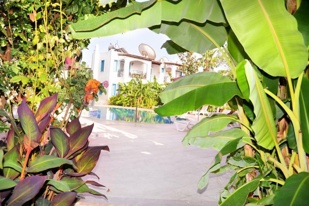 ביטז Villa Nergis מראה חיצוני תמונה